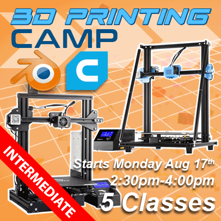 3D Printing Camp Online starts Monday 8/17